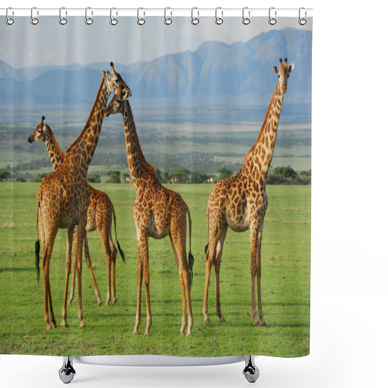 Personality  Giraffes Shower Curtains