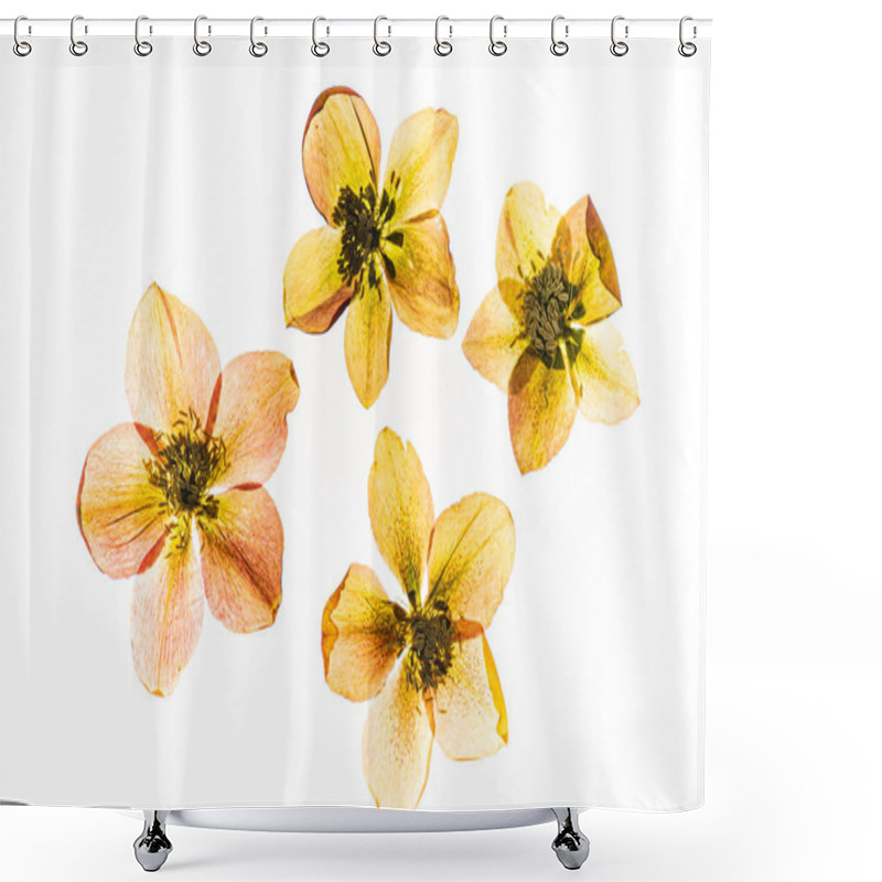 Personality  Flowers On The White Background Shower Curtains