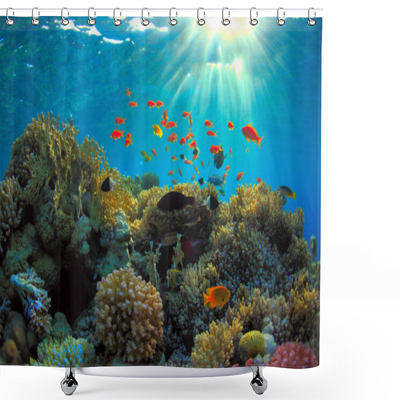 Personality  Coral Reef Shower Curtains