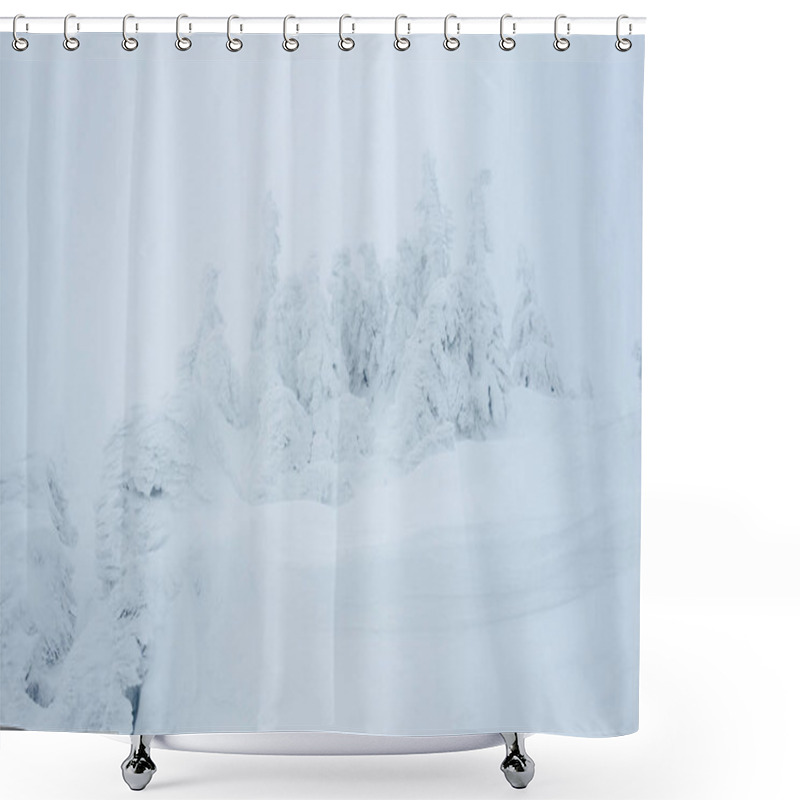 Personality  Snowy Forest Shower Curtains