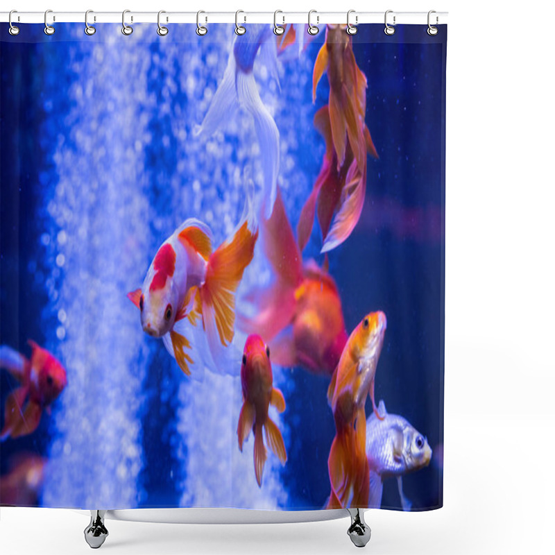 Personality  Tropical And Aquarium Goldfish Shower Curtains