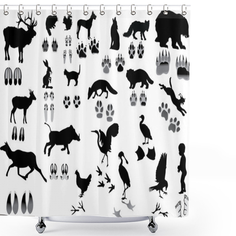 Personality  Set Of Animals And Its Tracks Shower Curtains