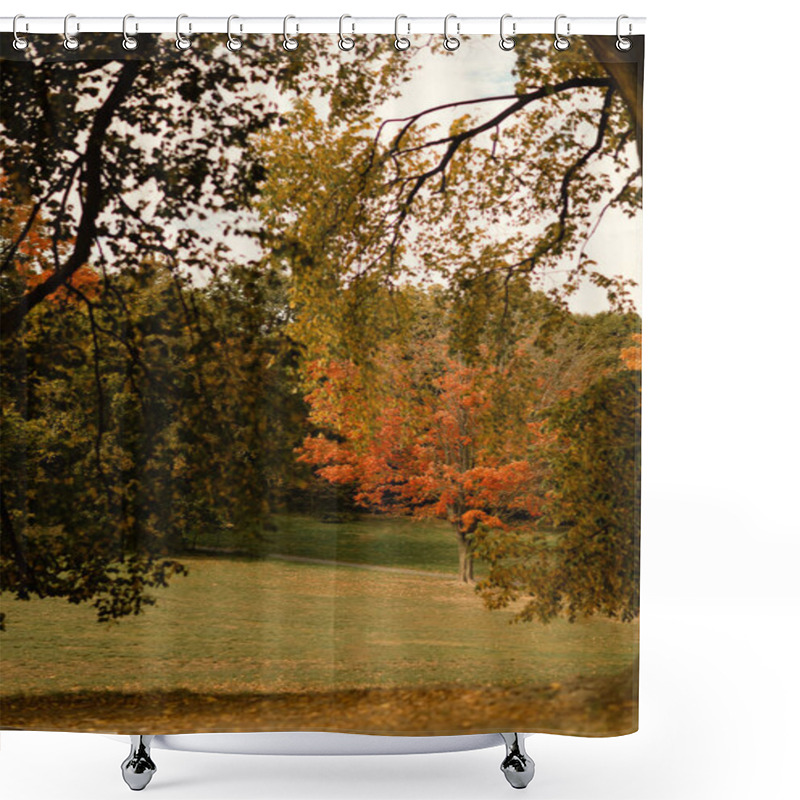 Personality  Fallen Leaves And Trees On Meadow In Central Park In New York City Shower Curtains