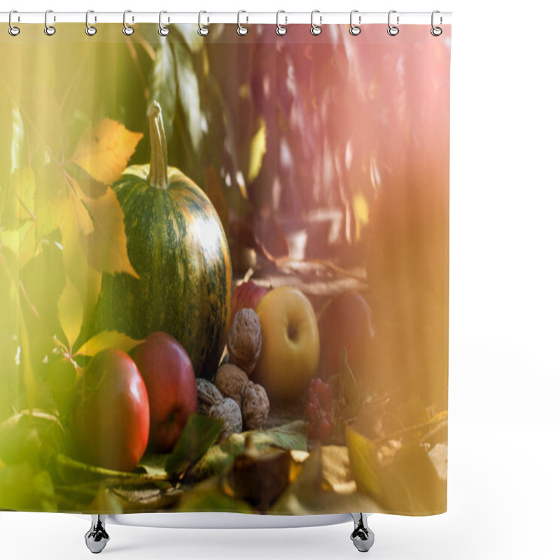 Personality  Pumpkin With Fruit And Walnuts Shower Curtains