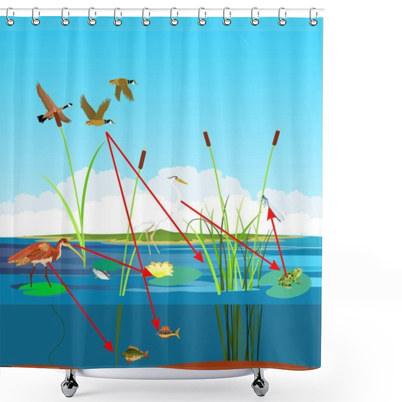 Personality  Ecosystem Of The Rivers And Lakes, Food Chain And Other Habitants, Vector Landscape Shower Curtains