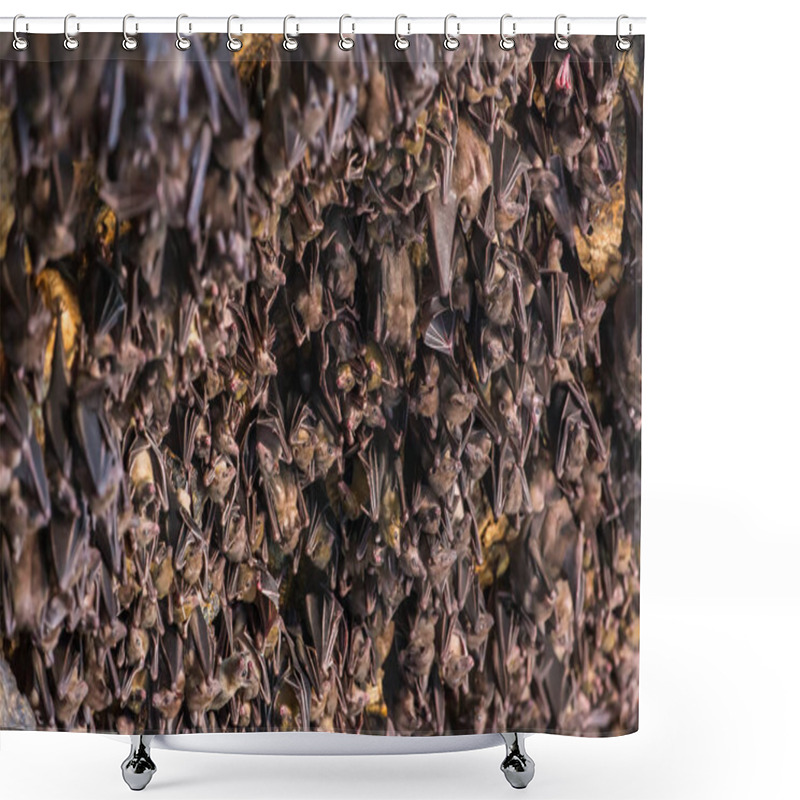 Personality  Bats Hanging On The Ceiling Of The Cave Shower Curtains