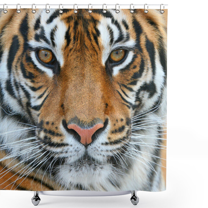 Personality  Tiger Shower Curtains