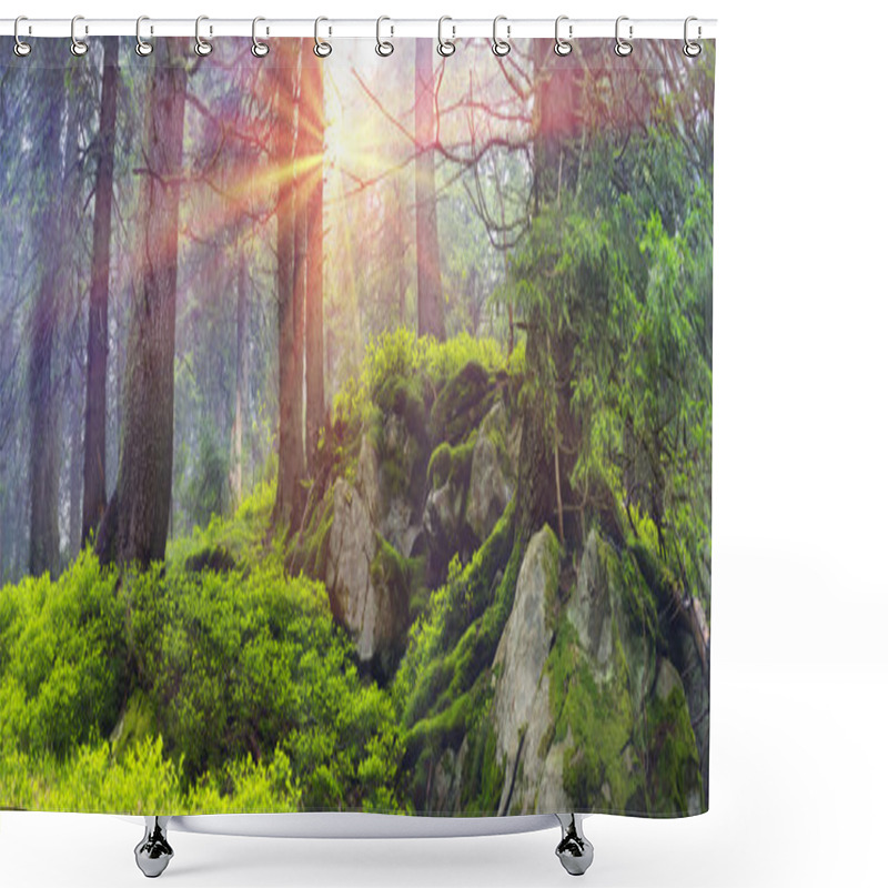 Personality  Magic Carpathian Forest Shower Curtains