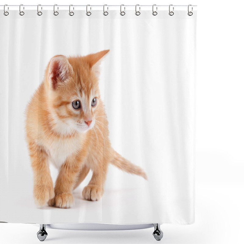 Personality  Cute Kitten Playing On White. Shower Curtains