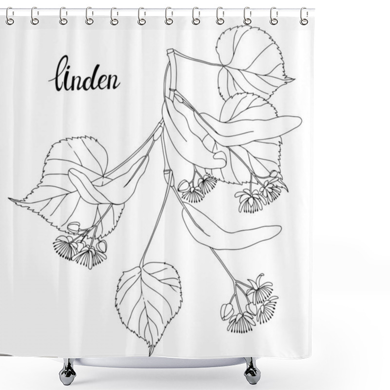 Personality  Linden Branch. Sketch.Hand Drawn Outline Vector Illustration, Isolated Floral Element For Design On White Background. Shower Curtains