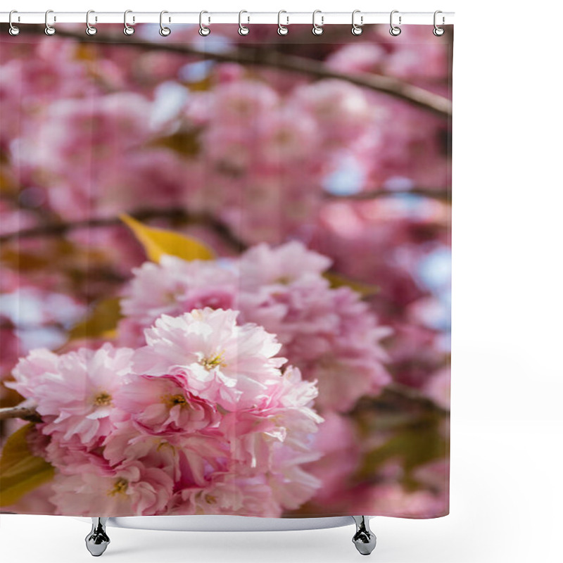 Personality  Macro Photo Of Blooming Pink Flowers Of Cherry Tree Shower Curtains