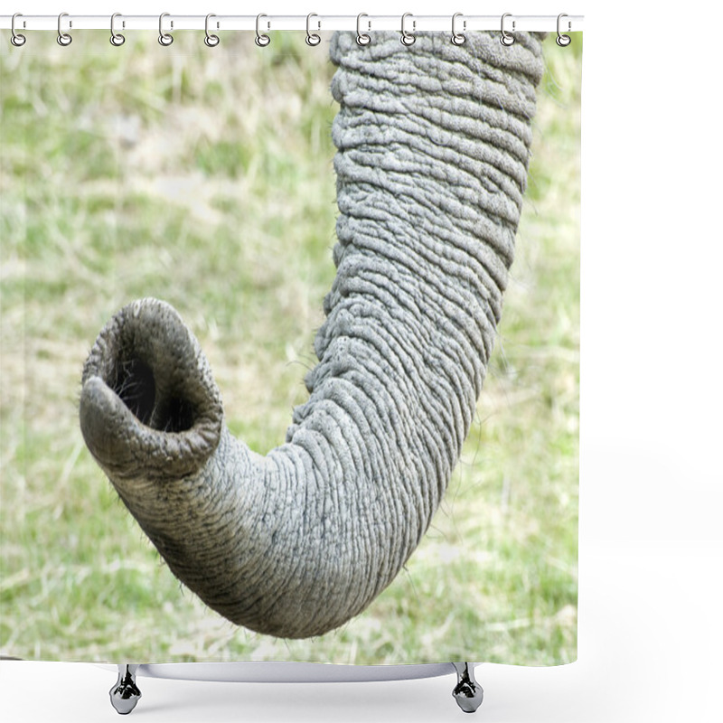 Personality  African Elephant Trunk Shower Curtains