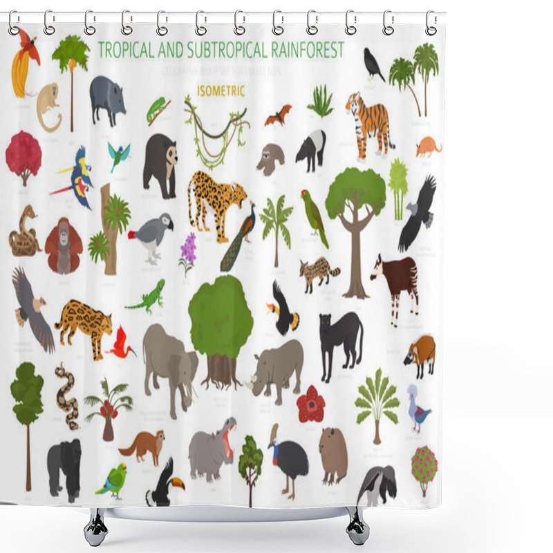 Personality  Tropical And Subtropical Rainforest Biome, Natural Region Infographic. Amazonian, African, Asian, Australian Rainforests. Animals, Birds And Vegetations Ecosystem 3d Isometric Design Set. Vector Illustration Shower Curtains