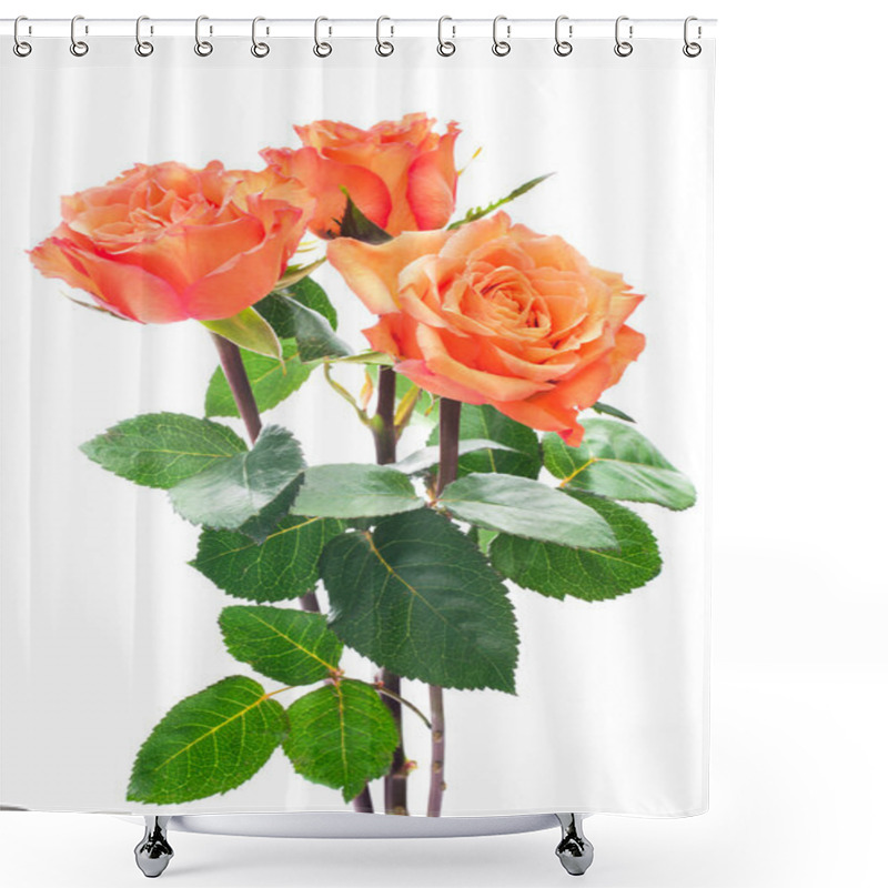 Personality  Orange Roses Shower Curtains