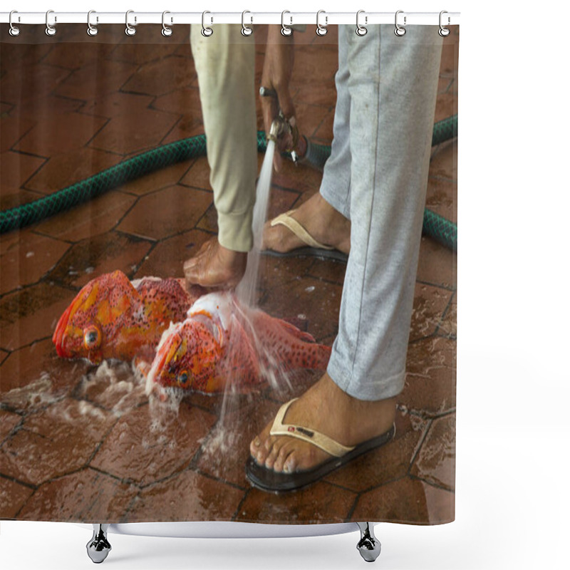 Personality  SANTA CRUZ, ECUADOR, 03 JULY 2019. Worker Washes Sea Bass Before Being Sold At The Fish Market In The Galapagos Islands, Ecuador. Shower Curtains