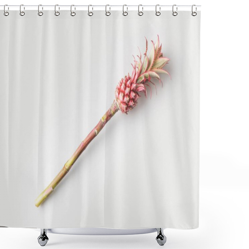 Personality  Pink Pineapple On Stem Shower Curtains