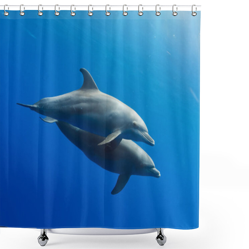 Personality  Dolphins Underwater Shower Curtains