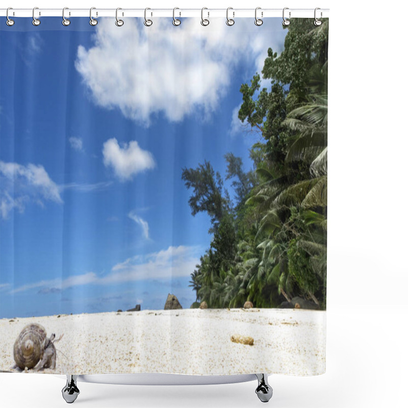 Personality  Hermit Crab Crawling On Sandy Beach , Silhouette Island, Seychelles Shower Curtains