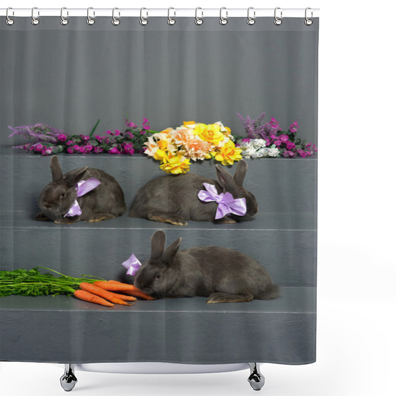 Personality  Hungarian Gray Rabbits  Shower Curtains