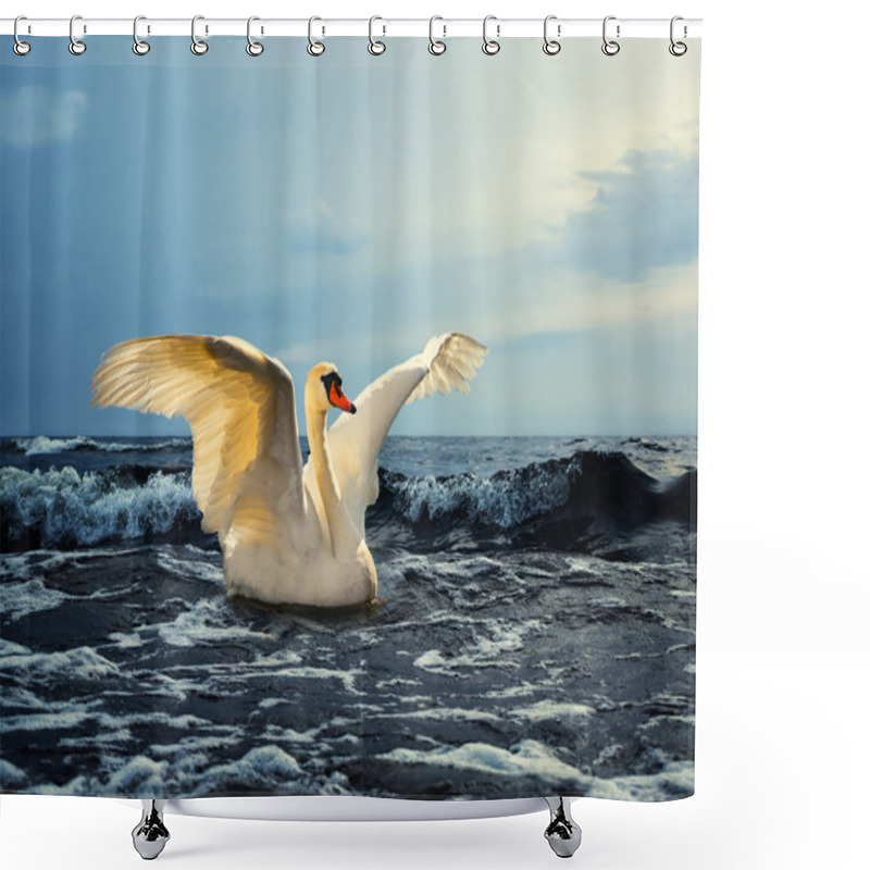 Personality  Swan At Sea Shower Curtains