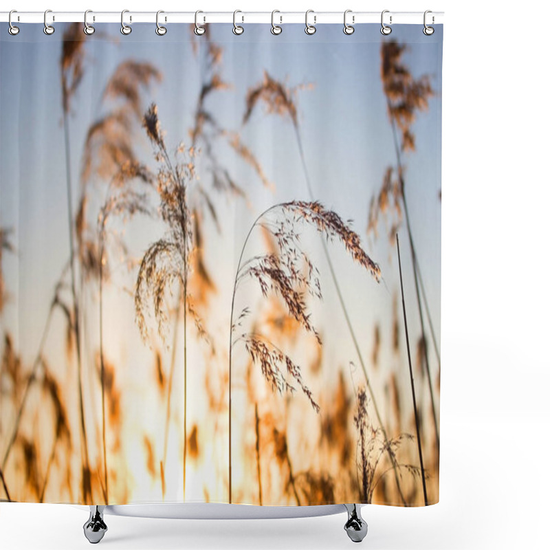 Personality  Reed Against The Sunset Shower Curtains