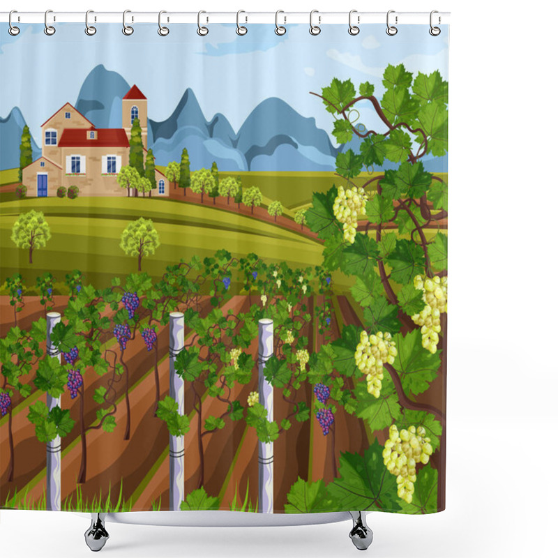 Personality  Vineyard Growing Harvest Vector. Beautiful Summer Fields And Mountains Views Shower Curtains