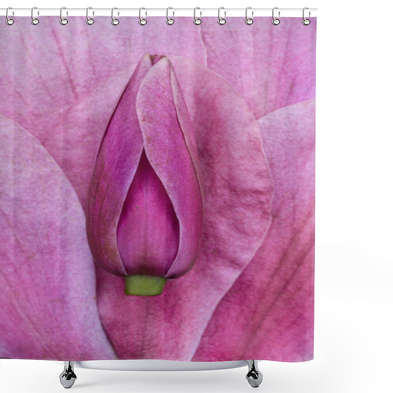 Personality  Pink Magnolia Flower Pod In Macro View Of Nature's Art Shower Curtains