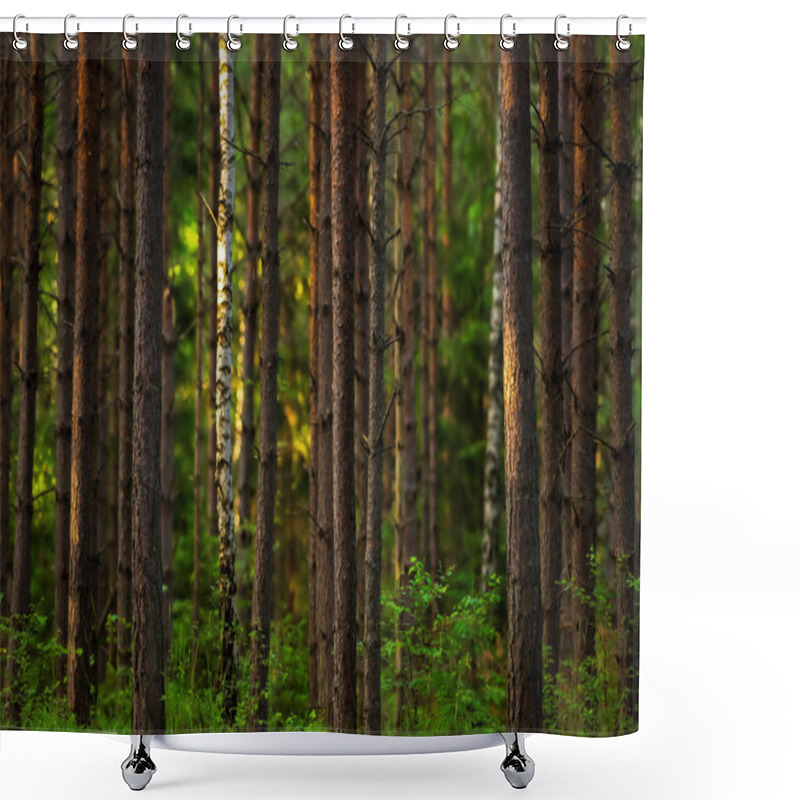 Personality  Sunset In The Woods Shower Curtains