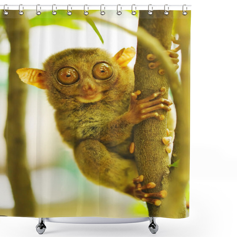 Personality  Tarsier Shower Curtains