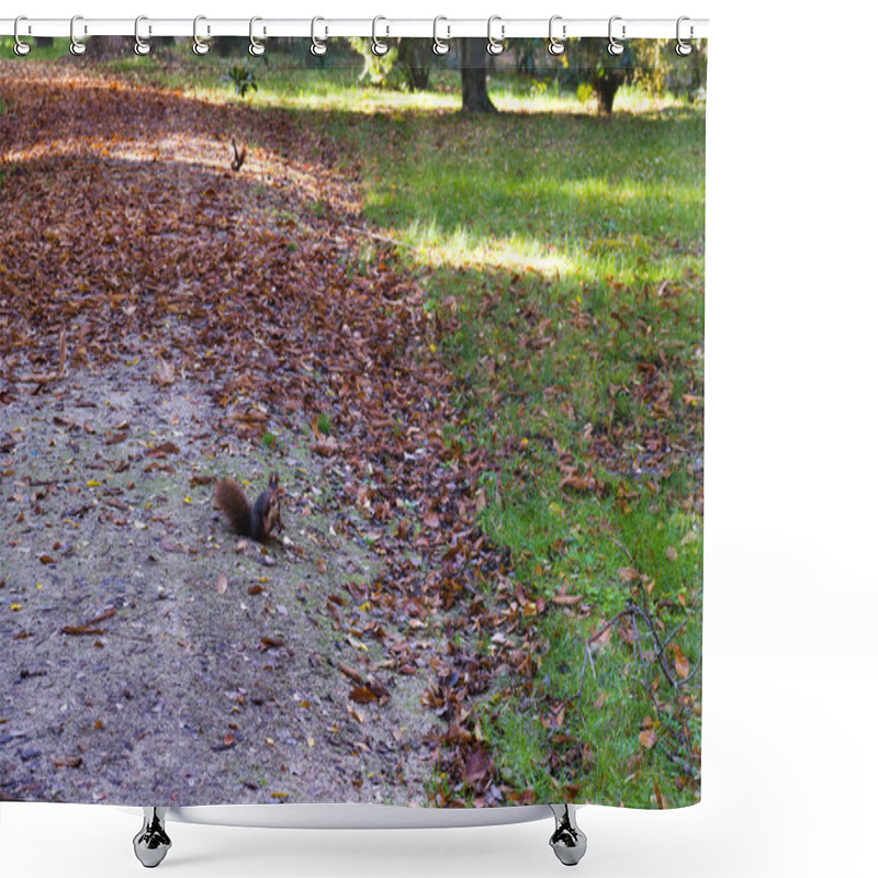 Personality  View Of The Prince's Park In Aranjuez Spain In Autumn Morning Shower Curtains