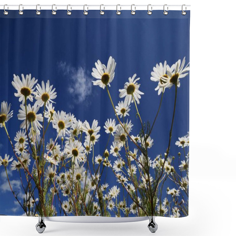 Personality  Beauty Blossoming Plant At Daytime Shower Curtains