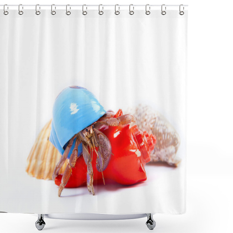 Personality  Hermit Crab In Blue Shell Shower Curtains