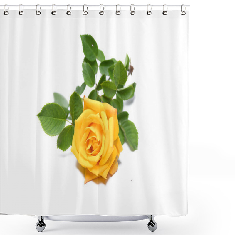 Personality  Yellow Rose Isolated On White Background  Shower Curtains