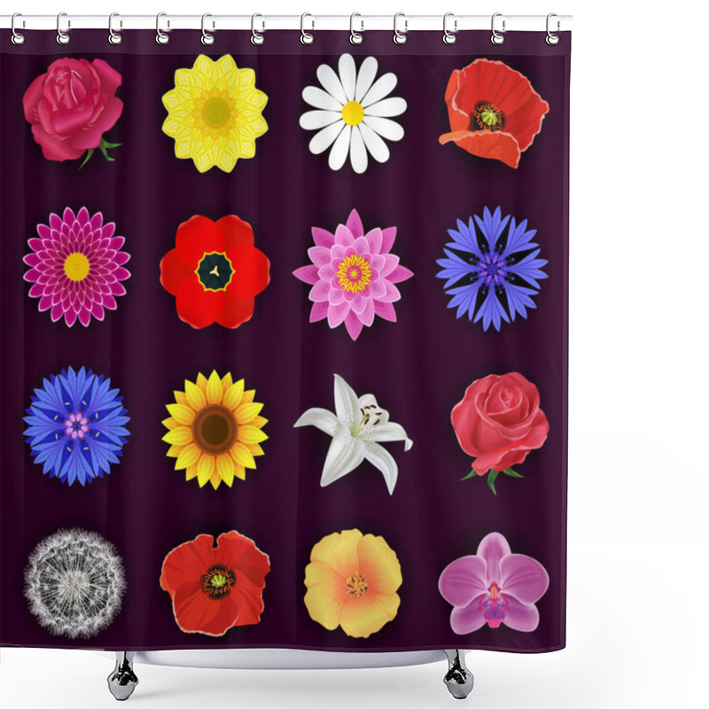 Personality  Big Set Of Spring Or Summer Flowers Isolated Shower Curtains