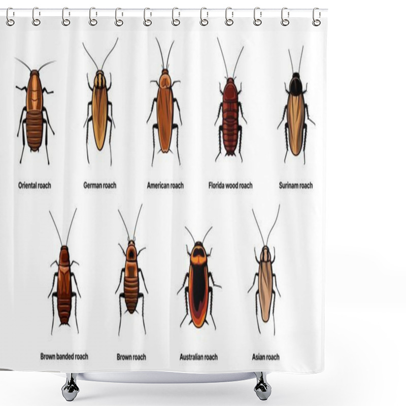 Personality  Cockroach Set, Insect Roach And Bug Species Icons, Vector. Biology Or Zoology And Pest Animal Creatures, Asian Cockroach, American And Australian Brown Or Surinam Roach Shower Curtains