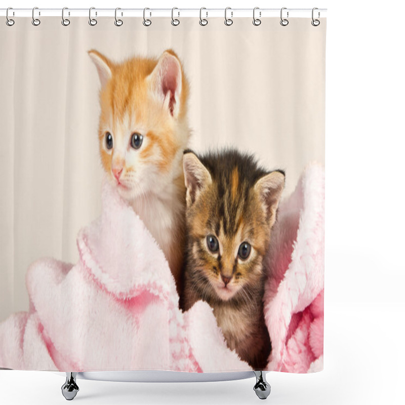 Personality  Two Kittens In A Pink Blanket Shower Curtains