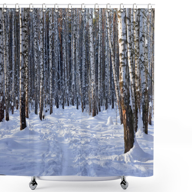 Personality  Winter Birch Grove Shower Curtains