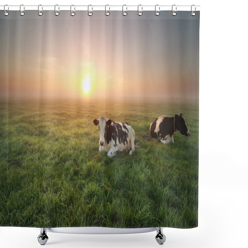 Personality  Relaxed Cows On Pasture At Sunrise Shower Curtains