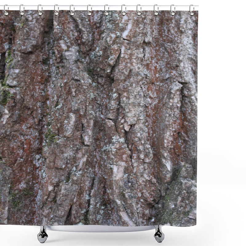 Personality  A Detailed Close-up View Of Rough Tree Bark, Showcasing Natural Textures, Grooves, And Moss Patterns Shower Curtains