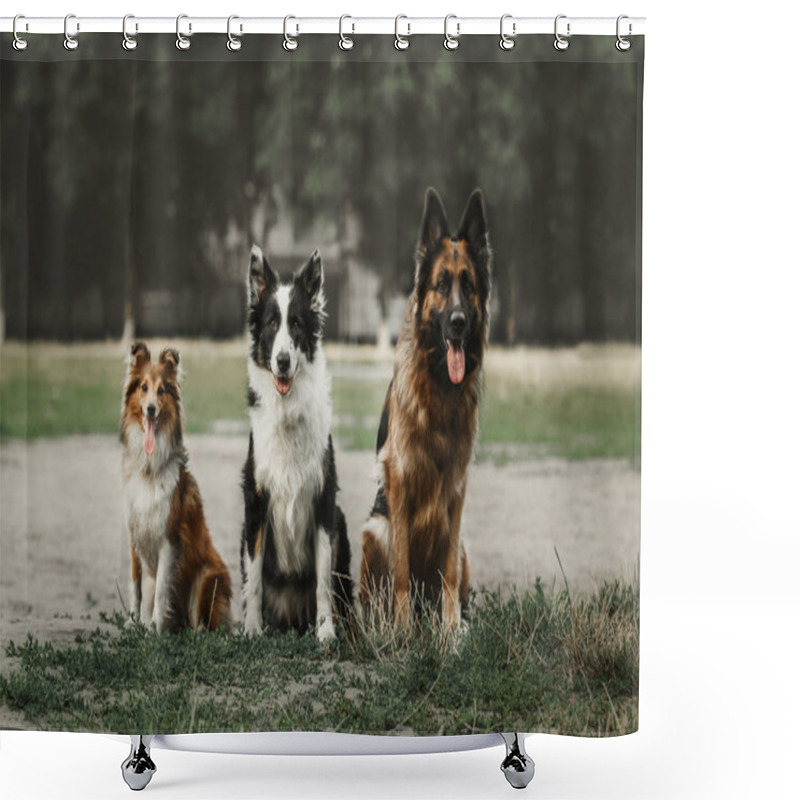 Personality  Group Of Dogs Playing At The Park. Shower Curtains