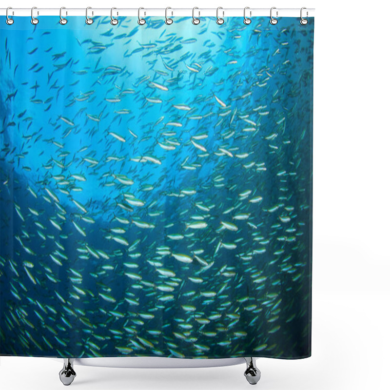 Personality  Marine Inhabitants With Underwater Scene In Deep Blue Ocean Shower Curtains