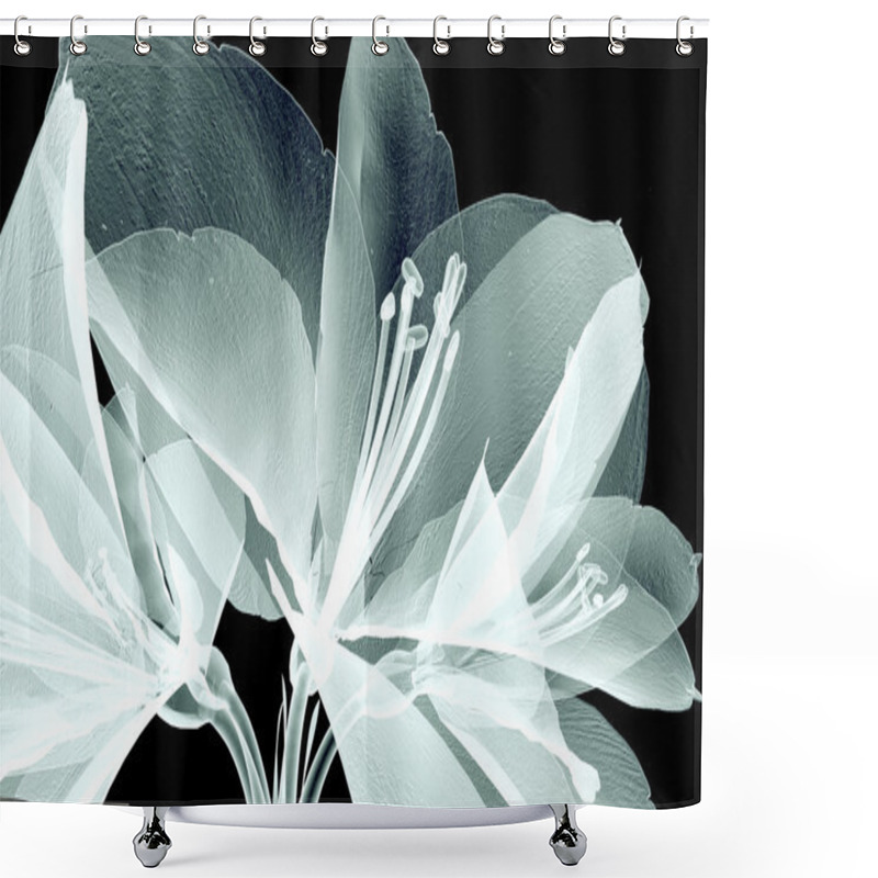 Personality  X-ray Image Of A Flower Isolated On Black , The Amaryllis Shower Curtains