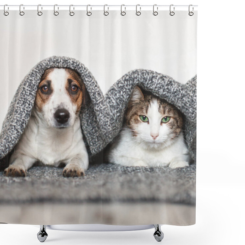 Personality  Dogs And Cat Together Shower Curtains