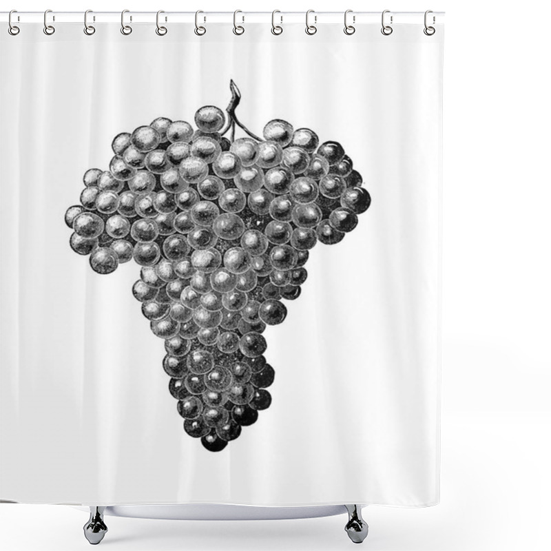 Personality  Art Picture. Illustration On White Background. Grape Shower Curtains