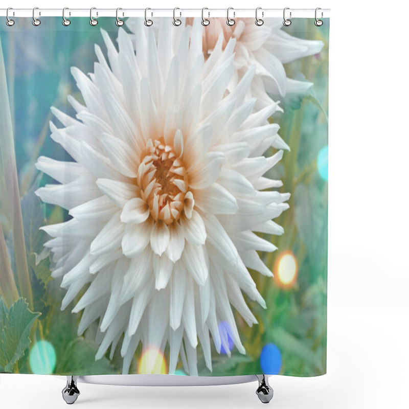 Personality  Dahlia Cactus Flower In The Garden  Shower Curtains