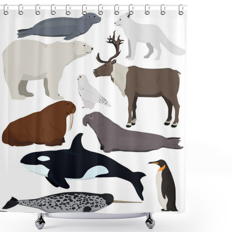 Personality  Set Of Cartoon Arctic And Antarctic Animals. Vector Illustration Of Polar Bear, Seal, Arctic Fox, Penguin, Killer Whale, Snowy Owl, Elephant Seal, Walrus, Reindeer, Narwhal. Shower Curtains