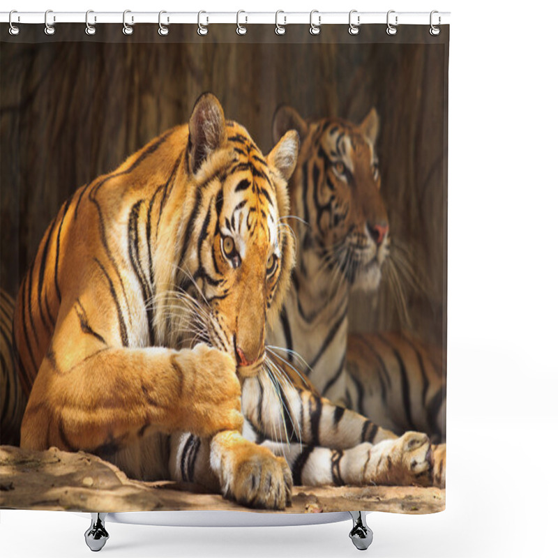 Personality  Tiger Shower Curtains