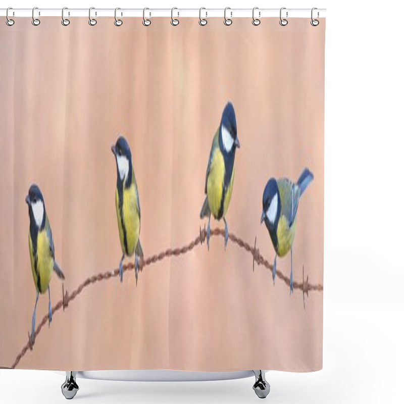 Personality  Four Tits. Shower Curtains