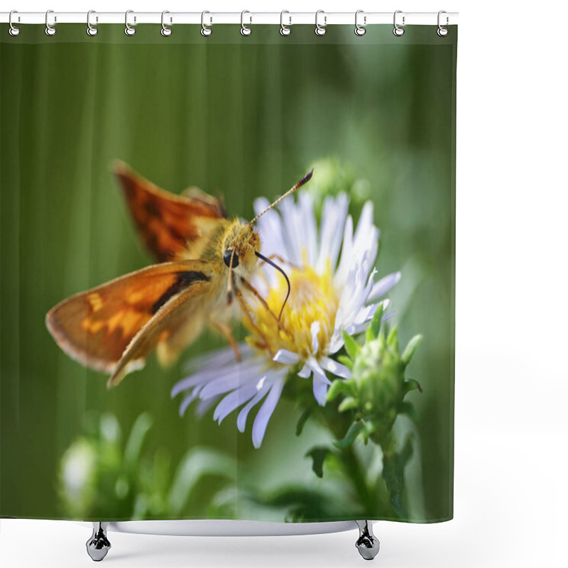 Personality  A Common Skipper Butterfly Sipping Nectar From A Tiny Flower  Shower Curtains