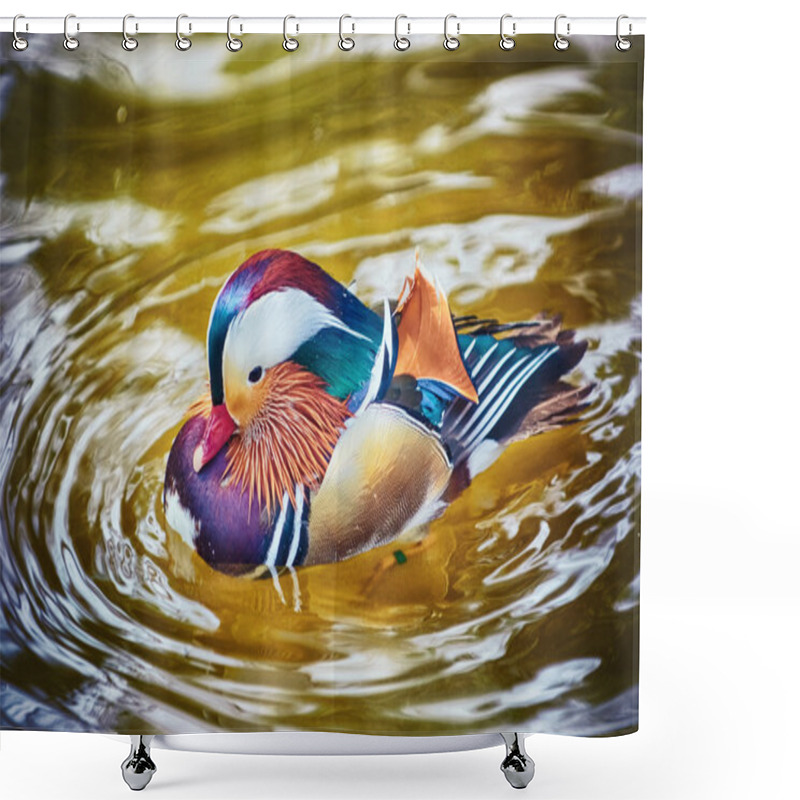 Personality  Mandarin Duck On The Water Shower Curtains